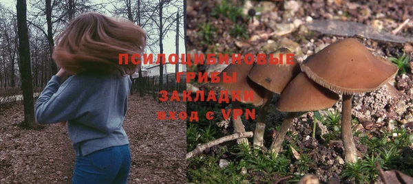 PSILOCYBIN Мегион