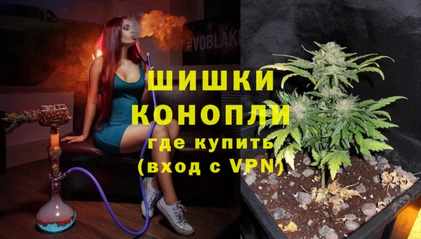 ECSTASY Медвежьегорск