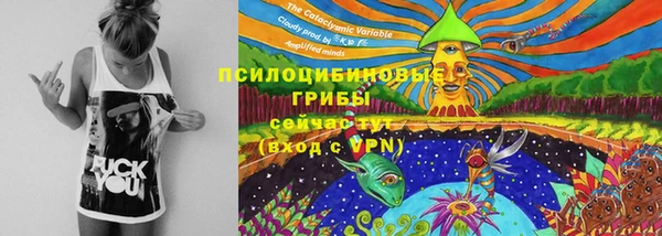 мдпв Магадан