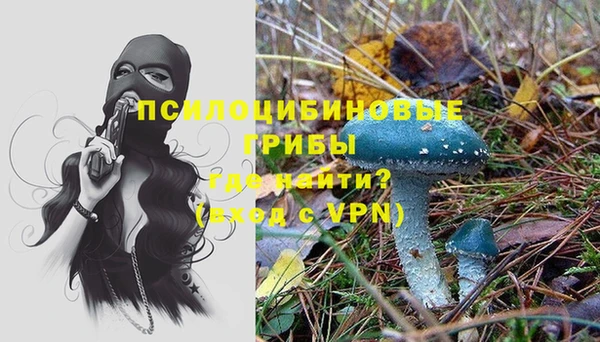 мдпв Магадан