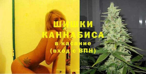 ECSTASY Медвежьегорск