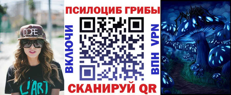 Галлюциногенные грибы Psilocybine cubensis  kraken   Мензелинск 