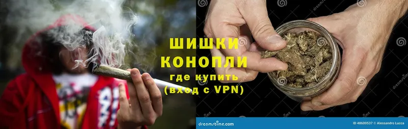 Конопля SATIVA & INDICA  мега как войти  Мензелинск 