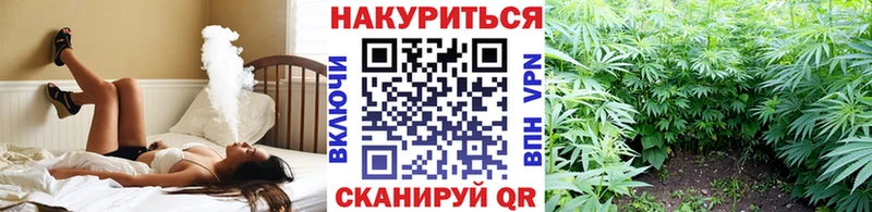 Конопля гибрид Мензелинск